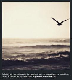 重获自由的图片,瞬间绽放的生命之光